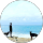 Gaëtan Brys profile picture