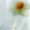 Narges Safi's profile photo