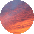 Avatar de Yann.e