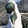 fjo...@gmail.com's profile photo