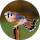 Nicolas Sitts profile picture