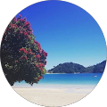 Allied Health Marketing - Newstead, Queensland