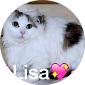 Avis de Lisa.h avec une note de 5 sur 5