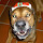 Stefan Bredow's profile photo