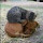 steve beckford's profile photo