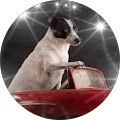 Avatar de Mirella.