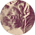 Avatar de Estelle.i