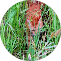 Avatar de bipbip.e