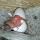Edy Mizwar's profile photo