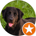 AJ Deichler's profile image