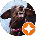 User profile - Patty Cargal.