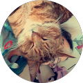 Avatar de Laurine.e