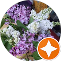 Avis de Lilas.7 avec une note de 5 sur 5