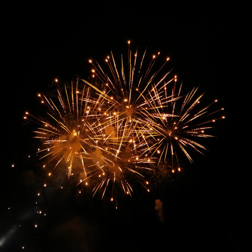 Leawood Reviews Sydney's Pet Resort and Spa