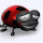 milad's profile photo