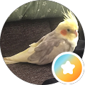 R K