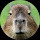 alan...@gmail.com's profile photo