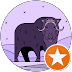 Foodie Ox