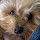moviegirl1926's profile photo