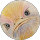 Raymond Lacroix profile picture