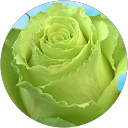 Tharun Ganesh profile picture