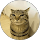Kayze profile picture