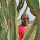 Mohammed Al Sheheimi's profile photo