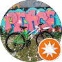 Google Maps profile picture of ZL VKRM