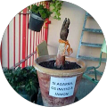 La Asociación Multisectorial de la Jardinería Andaluza - Santa Rosalía, Málaga