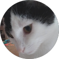 Avatar de Éloïse.u
