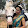 Ma Nithya Sadashiva Priyananda's profile photo