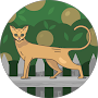 Google Maps profile picture of Pat Explorer