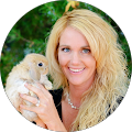 Web Design by Jack - Fort Collins, Colorado