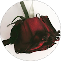Reviewer Image