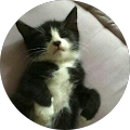 Avatar de Elisabeth.s