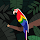 Janice Schlabrendorff's profile photo
