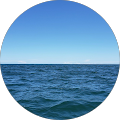 Profile photo of Bt Slader