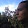 David Gonzalez Gonzalez's profile photo