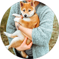 HundeFreuden | Dr. Rother GmbH & Co. KG - Bad Zwischenahn