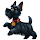 Scottish terriers1's profile photo