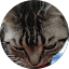 jin_4