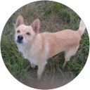 Руслан Велигорский profile photo