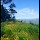 biswinsadi biswinsadi's profile photo