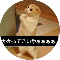 かのうないと