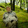herk...@wp.pl's profile photo