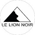 Avis de LELION.O avec une note de 5 sur 5