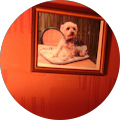 Avatar de Evelyne.r
