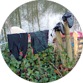 Naturcamping Ahlumer See - Rohrberg