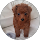 izu tera profile picture