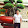 Phạm Đức Trường's profile photo